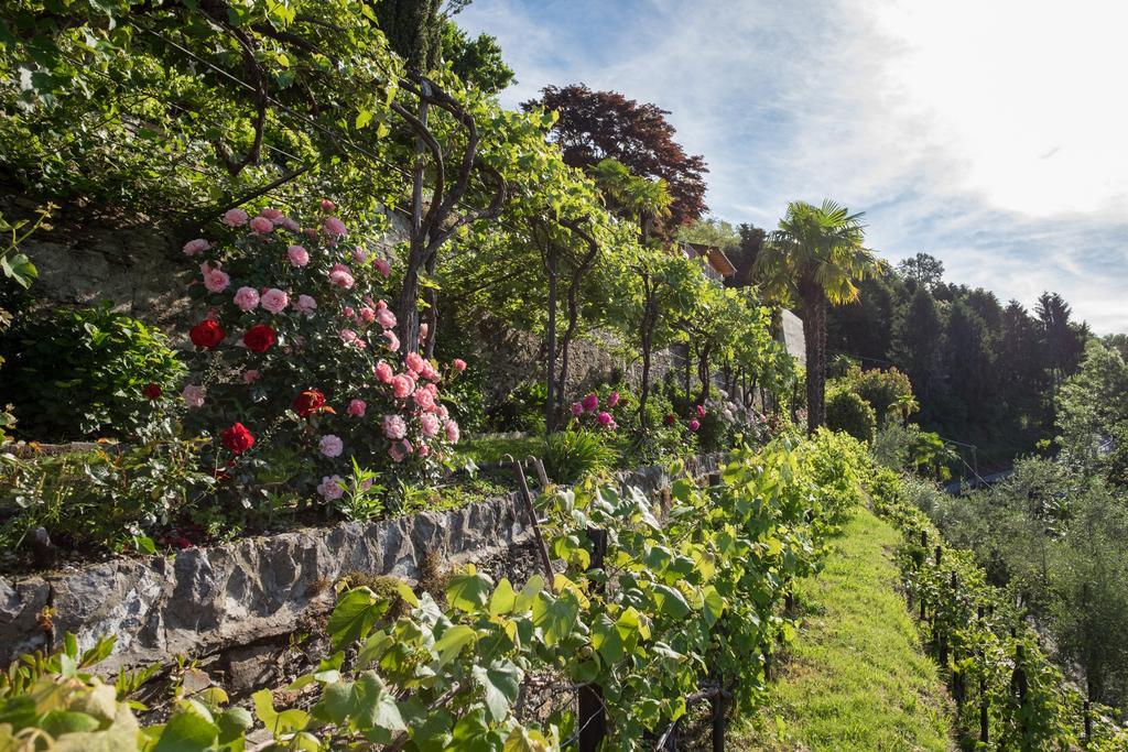 Villa Paradiso Каннеро-Ривьера Экстерьер фото